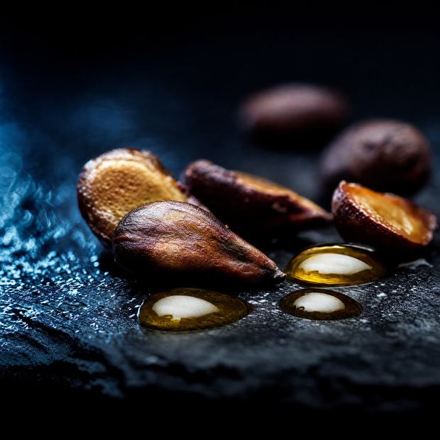 Grape Seed Extract